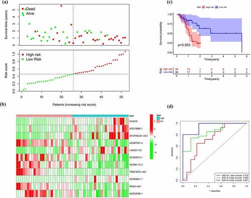 Figure 6. Verification of the EMT-related lncRNA signature in the test cohort. (a)Survival status and risk score distribution in the high- and low-risk groups. Green dots represent surviving patients; red dots represent dead patients (b) Kaplan-Meier curve analysis of overall survival in the high- and low-risk groups (c) Expression patterns of 11 EMT-related lncRNAs in high- and low-risk groups (d) ROC curve analysis