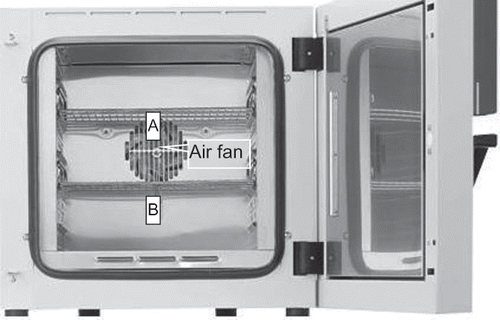 Figure 4 Forced convection drying oven (BINDER GmbH, Tuttlingen, Germany). In A and B, points were suspended to temperature and relative humidity sensors.