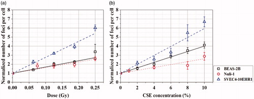 Figure 3. The numbers of gamma-H2AX foci per cell, normalized to 1 for the control (0 Gy or CSE-free culture medium, respectively), in BEAS-2B, SVEC4-10EHR1 and Nuli-1 cells after (a) alpha particle exposures in CSE-free culture media at doses of up to 0.25 Gy and (b) CSE treatments at concentrations of up to 10% without alpha particle exposure. The error bars represent standard errors.