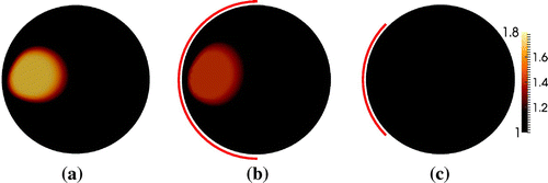 Figure 12. TV reconstruction of the phantom with a kite-shaped inclusion in Figure 2(b). (a) Full boundary data. (b) 50% boundary data. (c) 25% boundary data.