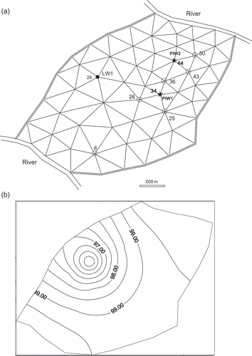 Fig. 1 (a) Aquifer system configuration: black circle denotes the only legal well (LW1); stars indicate potential illegal wells (PIW); unfilled circles show monitoring well (MW) positions. (b) Initial hydraulic head distribution taken as the steady-state solution to Equationequation (1)(B1) for: Q LW1 = 10 000 m3 d‐1; and P PIW1 = P PIW2 = 0.