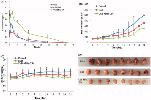 Figure 4. Time–concentration curve for CuD after oral administration of Cucurbitacin B, CuB-MMs, and CuBMMs-CPs (A) and in vivo antitumor study of normal saline, CuB, and CuB-MMs-CPs in Balb/c nude mice implanted with HepG-2 cells. Tumor volumes (B) and body weight (C) were monitored. Tumor weight was monitored at the end of the experiment (D). The result was presented as the mean ± SD (n = 6).
