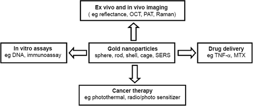 Figure 2. The versatile properties of AuNPs have been employed for biomedical applications in many areas (CitationGanti and Mulshine 2006).