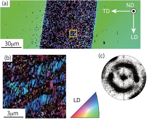 Figure 5. Microstructural changes in the right side resulting from the impact test. Inverse pole figure (IPF) maps for (a) the region within the white square shown in Figure 3(d), (b) the enlarged region of a yellow square in (a), and (c) a {110} pole figure for the macroscopic shear band shown in (a). The IPF maps show crystallographic orientations along LD using the colour code at the bottom.