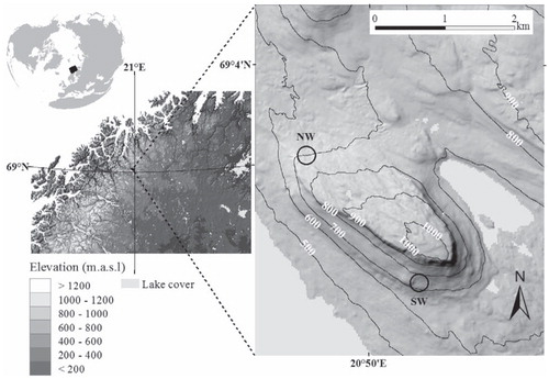 FIGURE 1. The location of the study area in northern Fennoscandia. The panel on the right shows the location of the study sites (empty circles) on the slopes of Mount Saana, with 100-m-interval contour lines indicating elevation.