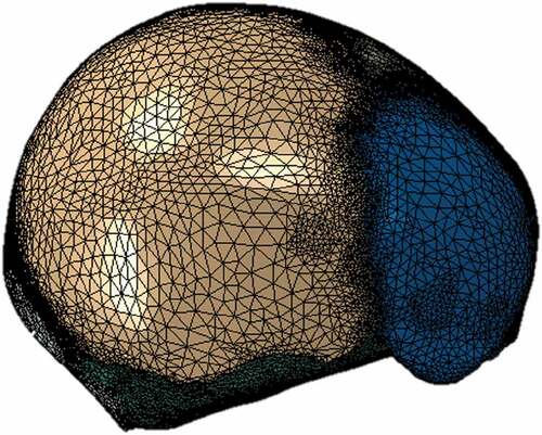 Figure 3. Assembly of the skull model in Abaqus CAE