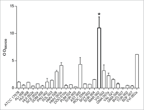 Figure 1. Quantification of biofilm formation in 25 A. baumannii clinical isolates selected from a collection of 172 hospital-acquired strains during the 2nd Spanish Study of colonization/infection caused by A. baumannii (GEIH/REIPI-Ab2010). Experiments were performed in triplicate and each bar represents the mean ± standard deviation (* P value < 0.0001).