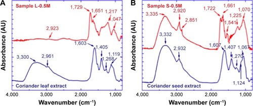 Figure 7 Fourier transform infrared (FTIR) spectra of (A) coriander leaf extract and sample L-0.5M and (B) coriander seed extract and sample S-0.5M.Note: Numbers indicate the position of vibrational bands.Abbreviations: L-0.5M, final colloid obtained using coriander leaf extract and 0.5 M AgNO3; S-0.5M, sample obtained using extracts of coriander seeds and 0.5 M AgNO3 solution.