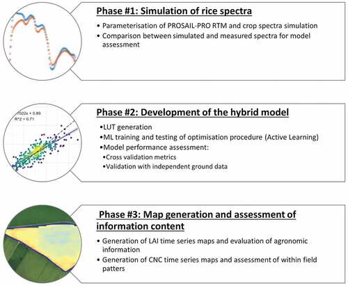 Figure 1. Methodological steps of the study.