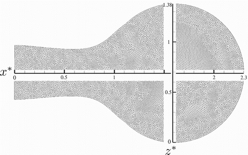 Figure 4. Definition of x* and z* variables on the reed's surface.