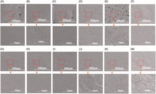 Figure 2. The surface SEM images of PCL coatings prepared under various treatment conditions. (A) PCLMw = 2 kDa:36 kDa coating without drug and loaded with 10% PCLMw = 2 kDa, (B) PCLMw = 2 kDa:36 kDa coating without drug and loaded with 20% PCLMw = 2 kDa, (C) PCLMw = 2 kDa:36 kDa coating without drug and loaded with 40% PCLMw = 2 kDa, (D) PCLMw = 2 kDa:36 kDa coating with 10% DXM and loaded with 20% PCLMw = 2 kDa, (E) PCLMw = 2 kDa:36 kDa coating with 10% DXM and loaded with 40% PCLMw = 2 kDa, (F) PCLMw = 2 kDa:60 kDa coating without drug and loaded with 40% PCLMw = 2 kDa, (G) PCLMw = 2 kDa:80 kDa coating without drug and loaded with 10% PCLMw = 2 kDa, (H) PCLMw = 2 kDa:80 kDa coating without drug and loaded with 20% PCLMw = 2 kDa, (I) PCLMw = 2 kDa:80 kDa coating without drug and loaded with 40% PCLMw = 2 kDa, (J) PCLMw = 2 kDa:80 kDa coating with 10% DXM and loaded with 20% PCLMw = 2 kDa, (K) PCLMw = 2 kDa:80 kDa coating with 20% DXM and loaded with 20% PCLMw = 2 kDa, (M) PCLMw = 2 kDa:60 kDa coating with 20% DXM and loaded with 40% PCLMw = 2 kDa). Scale bar = 200 μm (in the above picture); Scale bar = 10 μm (in the following picture).