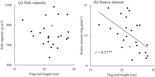 Figure 1. Relationship between the flag leaf length (cm) and (a) sink capacity (g m−2) and (b) source amount (mg grain−1) in EP RILs in 2015. * represents Liaojin5, an EP progenitor.