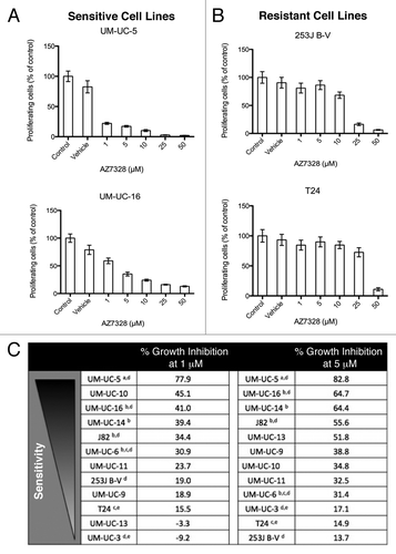 Figure 2. Sensitivity of bladder cancer cell lines to increasing concentrations of AZ7328 as measured in a 120 h MTT assay. (A) The anti-proliferative effects of AZ7328 in two relatively sensitive cell lines (UM-UC-5 and UM-UC-16). (B) The anti-proliferative effects of AZ7328 in two relatively resistant cell lines (253J B-V and T24). (C) Rank ordering of sensitivity to AZ7328 at 120 h of exposure in a panel of 12 bladder cancer cell lines by the percentage of proliferative inhibition induced at both 1 and 5 μM concentrations. (aEGFR amplification, bFGFR3 mutation, cc-MET mutation, dPIK3CA mutation, eRAS mutation)