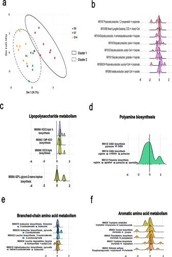 Figure 3. Alteration of specific metabolic compartments during influenza as assessed by shotgun analysis. (a and b), alteration of the abundance of genes involved in SCFA synthesis. (a), PCA of normalized relative abundances of modules covering SCFAs metabolism. (b), density ridgeline plots of the songbird coefficients of gomixer modules involved in SCFA synthesis and degradation. A positive coefficient is associated with an increase of the module’s KOs in D7, whereas a negative coefficient is associated with a decrease. The coefficients/differentials of the KOs computed by songbird are plotted on the x-axis (thin bars). The thick bar is the origin of the x-axis. (c–f), density ridgeline plots of the songbird coefficients of gomixer modules involved in LPS (c), fatty acid (b), polyamine (c), amino acid (arginine, proline, serine, threonine, cysteine and methionine) (d), branched- amino acid (d), branched chain amino acid (e), and aromatic amino acid (f) synthesis and degradation. A positive coefficient is associated with an increase of the module’s KOs in D7, whereas a negative coefficient is associated with a decrease. The coefficients/differentials of the KOs computed by songbird are plotted on the x-axis (thin bars). The thick bar is the origin of the x-axis.