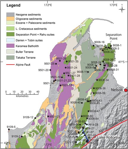 Figure 3. Simplified geological map of the northwest Nelson region compiled from Rattenbury et al. (Citation1998), Rattenbury et al. (Citation2006) and Nathan et al. (Citation2002), showing the distribution of plutonic suites within the Median Batholith (Separation Point, Rahu, Darran and Tobin), the Karamea Batholith, and the Takaka and Buller terranes, as well as Late Cretaceous and Cenozoic sedimentary rocks. The black dots mark the location of rock samples used in this study and their sample numbers.
