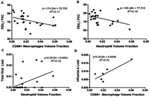 Figure 1. Linear regression analysis of the relationship between inflammatory cells and lung function, and viral load. A) FEV1/FVC vs. Volume fraction CD68 + macrophages (p = 0.044). B) FEV1/FVC vs. Volume fraction neutrophils (p = 0.047). C) Total viral load (normalized to RPP) vs. Volume fraction of neutrophils (p = 0.031). D) Influenza A viral load (normalized to RPP) vs. Volume fraction of CD68+ macrophages (influenza A-positive cases; p = 0.038).