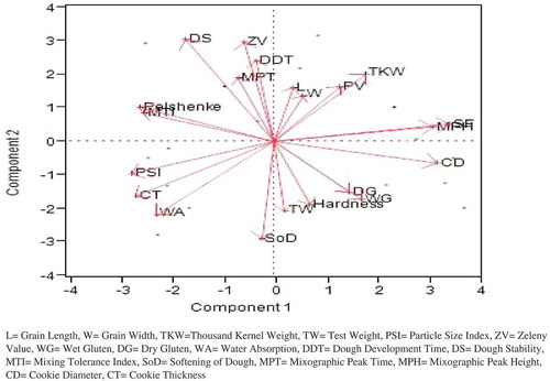 Figure 4. Bi-plot regarding the relationship of wheat grains, flour rheological properties with cookie making potential of different wheat cultivars.