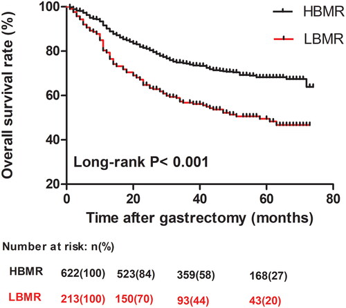 Figure 2. Kaplan–Meier survival curves for overall survival and BMR.