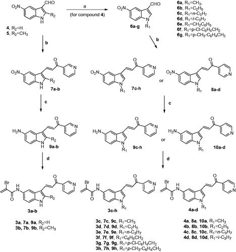 Scheme 1. Reagents: (a) R1-halide, NaH, DMF, rt, 2 h; (b) 3-acetypyridine or 4-acetylpyridine for the synthesis of 7a–h and 8a–d, respectively, piperidine, DMF, 100 °C, 24 h; (c) Fe, NH4Cl, EtOH-H2O, reflux, 2 h; (d): α-bromoacrylic acid, EDCI, DMF, rt, 18 h.