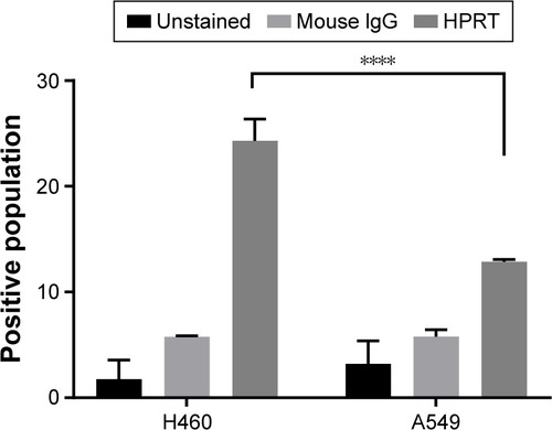 Figure 3 Levels of HPRT expression compared between A549 and H460 cells. Notes: While both A549 and H460 cells show a statistically significant increase in the surface expression of HPRT, H460 cells had a significantly higher expression (P<0.0001). H460 cells are a faster growing cell line, with a growth rate almost double that of A549 cells. As a result, HPRT expression on the surface of non-small-cell lung cancer cells may directly correspond to cell proliferation. ****P<0.0001.