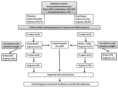 Figure 1. Overview of the analytical strategy used to identify genes and metabolic pathways showing epigenetic dysregulation in response to GDM exposure.