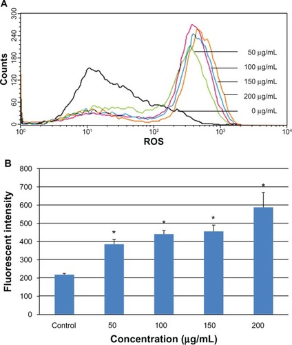 Figure 5 Change in intracellular ROS levels in L-02 cells after 24 hours of incubation with different concentrations of silica nanoparticles. The results of flow cytometry (A) and the corresponding bar graph (B) are shown. Intracellular ROS levels increased in a dose-dependent manner. Data are expressed as the mean ± standard deviation of three independent experiments. *P < 0.05 versus control group using analysis of variance.Abbreviation: ROS, reactive oxygen species.