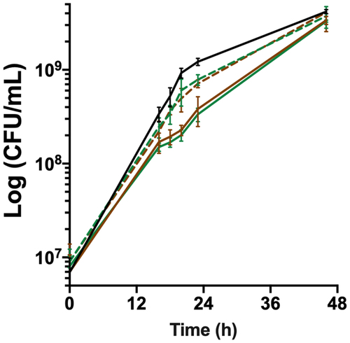 Figure 3. bfpR is required for in vitro growth under high haemoglobin concentration. Growth under high haemoglobin concentration determined by viable cell measurements (CFU/ml) of cultures in TYES broth supplemented with 1% hemoglobin. Plain lines: wild-type (black) and deletion mutants (ΔbfpR: green; ΔhfpRΔbfpR: brown), dashed lines: ectopic complemented mutants. Values represent the mean and standard deviation of four independent experiments.