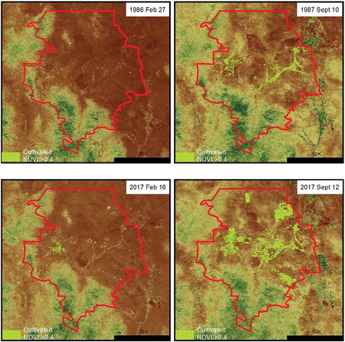 Figure 3. Cultivated area in Janos county. Agricultural crops are represented by bright green against a backdrop of semi-arid Chihuahuan Desert grassland and scrub. Images are from Landsat 5 (1986–7) and Landsat 8 (2017) at 30 m spatial resolution.