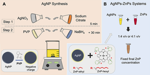 Figure 1 (A) Schematic representation of the synthesis of silver nanoparticles (AgNPs) coated with polyvinylpyrrolidone (PVP) and (B) the preparation of the AgNPs-ZnPs systems. ZnP = Zn(II) porphyrin.