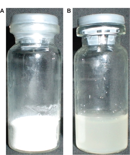 Figure 3 A) Freeze-dried powder. B) Reconstitution appearance of PTX-FA-BSANP solution.Abbreviation: PTX-FA-BSANP, paclitaxel-loaded biodegradable bovine serum albumin nanoparticles with folate decoration.