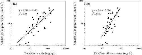 Figure 1. Relationships between (a) soluble Cu in pore water and total Cu in soil. (b) soluble Cu and DOC in pore water.