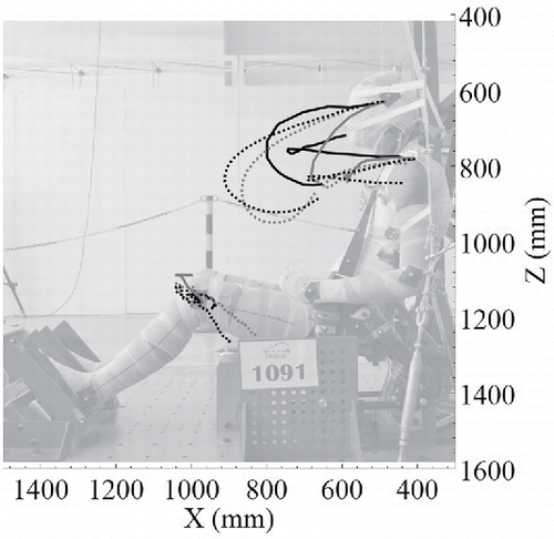 Figure 3. Head, shoulder and knee sagittal trajectories for PMHS and THUMS. Black lines correspond to the split buckle seat belt, and grey lines correspond to the reference seat belt. Solid lines are PMHS trajectories, and dashed lines are THUMS trajectories