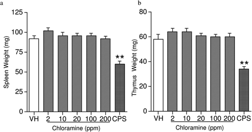 Figure 3.  Absolute weights of the (a) spleen and (b) thymus in female B6C3F1 mice exposed to chloramine for 28 days in their drinking water. Values represent mean (± SE) organ weights derived from eight mice/group. ** p ≤ 0.01 when compared to vehicle.