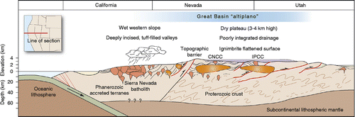 Figure 17 Conceptual WE cross-section through the middle Cenozoic Great Basin Altiplano at approximately 38.5° N latitude.