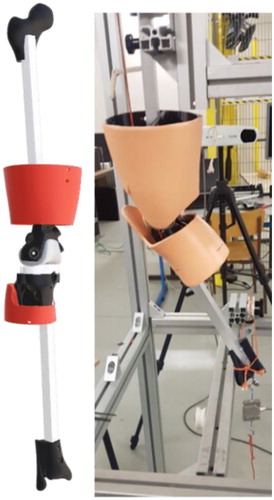 Figure 1. CAO and experimental model of the knee surrogate.