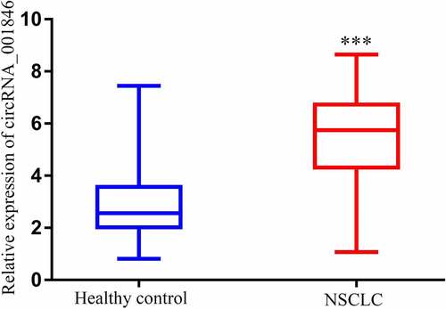 Figure 2. Serum circRNA_001846 in NSCLC patients. Levels of serum circRNA_001846 were higher in patients with NSCLC relative to healthy individuals. ***p < 0.001