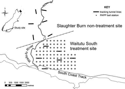 Figure 1  Location of the Waitutu field trial at Waitutu Forest, Fiordland National Park, New Zealand. Tracking tunnel lines and PAPP bait stations are marked.