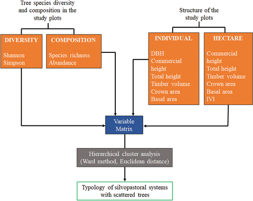 Figure 1. Conceptual model of paddock system typology based on tree composition, diversity, and structure.