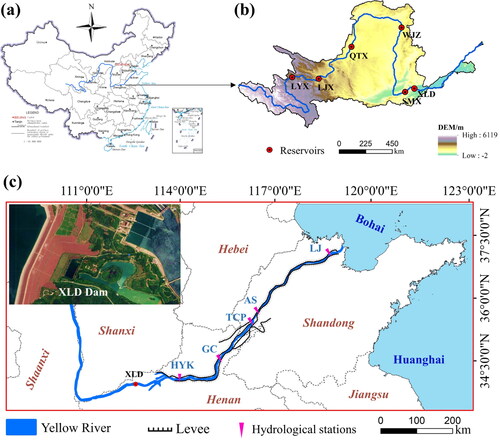 Figure 1. Map of the geographical location of the study area. (a) Geographical location of the Yellow River in China, downloaded from the Ministry of Natural Resources of the people’s Republic of China (www.mnr.gov.cn/sj/sjfw) (b) DEM and main reservoirs in the Yellow River Basin. Abbreviations include Longyangxia (LYX), Liujiaxia (LJX), Qingtongxia (QTX), Wanjiazhai (WJZ), Sanmenxia (SMX), and XLD. (c) Detailed map of the LYR, including main hydrological stations and XLD Dam. Abbreviations include Huayuankou (HYK), Gaocun (GC), Taochengpu (TCP), Aishan (AS), and Lijin (LJ).