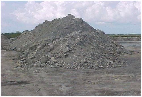Figure 9. Photograph of M/s NTPC Badarpur dumping site.