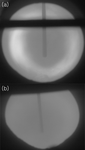 Figure 13. Photographs of the combustion flame during (a) conventional and (b) MILD combustion.