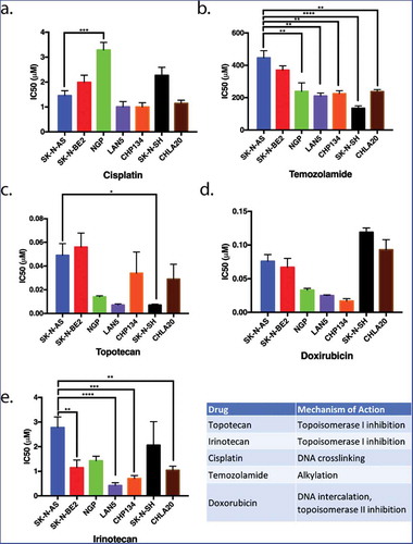 Figure 1. The proliferation of neuroblastoma cell lines in response to five commonly used chemotherapeutics. Seven different neuroblastoma cell lines were treated with various chemotherapeutic agents. The inhibitory concentrations required for 50% inhibition of proliferation (IC50) in vitro 72 hours following drug treatment were assessed as a means to compare the relative resistance of these cell lines to various chemotherapeutic agents. SK-N-AS and SK-N-BE(2) (blue and red, respectively) were generally more resistant to most drugs tested in that higher concentrations of chemotherapeutics were required for inhibition of proliferation. LAN5 and CHP134 (purple and orange) were generally more sensitive to most chemotherapeutics in that lower drug concentrations were required to inhibit proliferation. Graphs show the mean ± S.E.M. from at least three independent trials. Comparisons were made using ANOVA with post hoc Tukey test. * denotes p < .05, ** denotes p < .01, *** denotes p < .001.