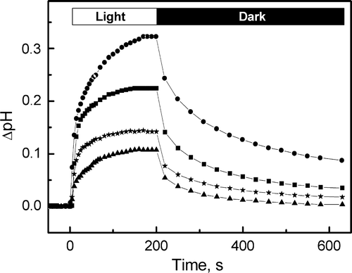 Figure 5.  Light-induced pH changes of BR-incorporated liposomes as a function of time. The samples correspond to WT (•), P50A (▪), P91A (▴) and P186A (★). Initial pH 6.5, in KCl 150 mM.