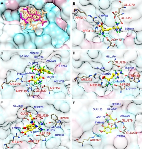 Figure 2 Docking modes for interactions between drugs and N9_R294K. The protein surface is colored to show hydrophobicity: from cyan, for the most hydrophilic, to white, to maroon for the most hydrophobic.