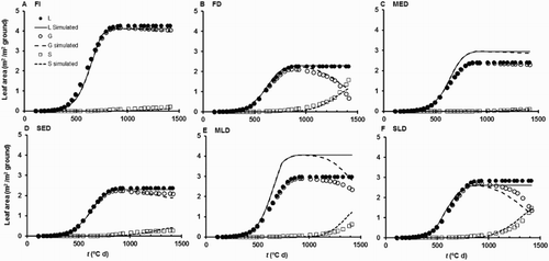 Figure 3. Time courses of simulated and observed leaf areas (L, G, and S) for Dataset 1 after the first fitting of the model. Results are shown for the FI, FD, MED, SED, MLD, and SLD treatments. Note that L, G, and S data for the MLD treatment were not used for model fitting. Values are presented for the sum of main stem and tiller leaves, but Stone et al. (Citation2001) presented only main stem values.