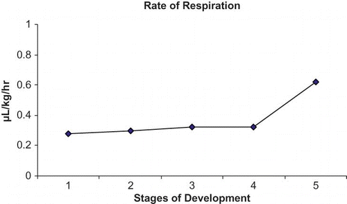 FIGURE 3 Changes in the rate of respiration in C. dichotoma fruit during successive stages of growth and ripening.
