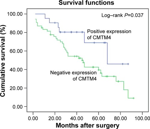 Figure 2 Effect of the expression of CMTM4 on survival rates of HCC patients who underwent resection determined via Kaplan-Meier model analysis.