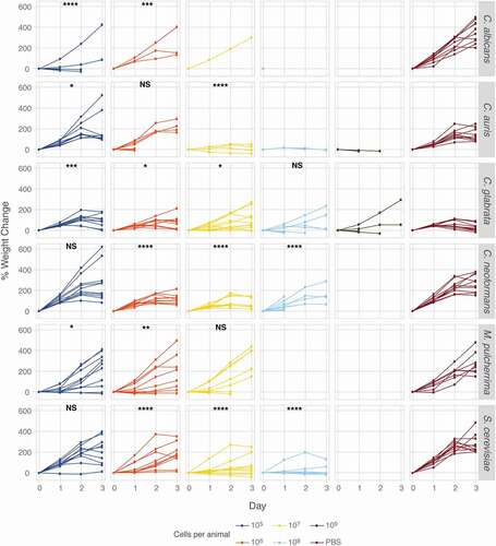 Figure 6. Caterpillar weight as a measure of virulence. Groups of ten animals were infected with increasing amounts of yeast inocula from six different species or PBS and the weight of surviving animals was recorded daily. Weight measures of yeast-infected caterpillars were analyzed for statistical significance revealing that yeast infections affect weight regardless of mortality rates. The slope of each curve at each yeast concentration was compared to the PBS control by fitting a mixed model where caterpillars were treated as a random effect using linear mixed-effects modeling. Statistical significance was assessed as follows: * p < 0.05, ** p < 0.01, *** p < 0.001, **** p < 0.0001.