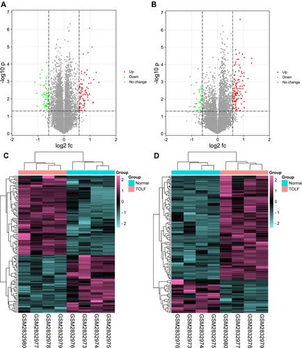 Figure 7 Differentially expressed genes and lncRNAs between OLF samples and normal samples. (A) Volcano plot of differentially expressed genes. (B) Volcano plot of differentially expressed lncRNAs. (C) Heatmap of differentially expressed genes. (D) Heatmap of differentially expressed lncRNAs. Green dots indicates down-regulated, red indicates up-regulated and gray indicates no differential expression.