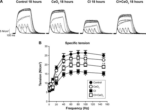 Figure 2 Cerium oxide (CeO2) nanoparticle treatment improves diaphragmatic contractility in cecal inoculum (CI) rat.Notes: Representative recording traces of contractile response are shown from each group (A). Group data showed that nanoparticle treatment improves diaphragm tension development (B, control n=8 strips from 4 rats, CeO2 only n=6 strips from 3 rats, cecal inoculum (CI) n=16 strips from 8 rats and CI+CeO2 n=18 strips from 9 rats). *vs Control, #vs CI: P<0.05 by two-way repeated measures ANOVA.